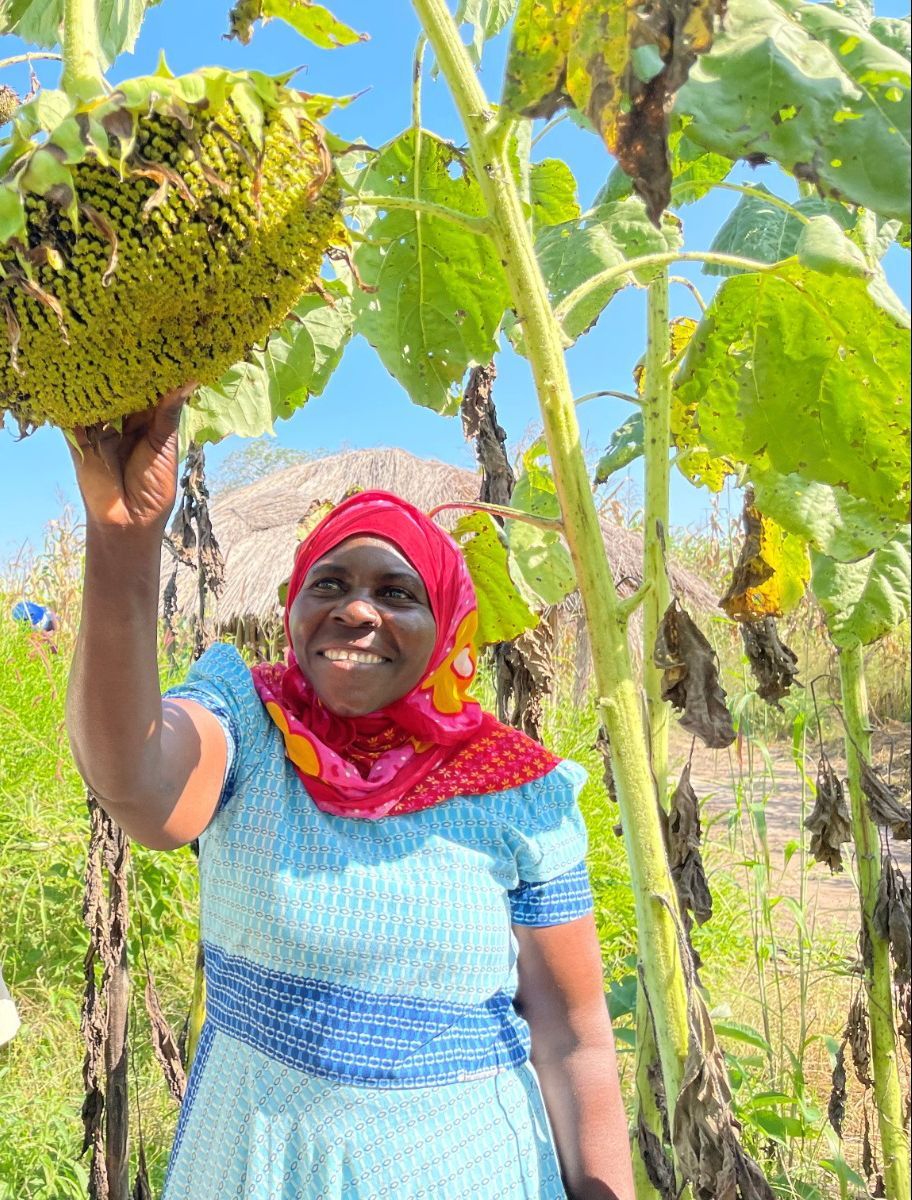 Mwajuma Salumu, a sunflower grower in Tanzania, uses digital technologies for weather updates, informing her decision making about her crop production.